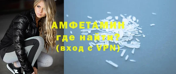прущие грибы Медногорск