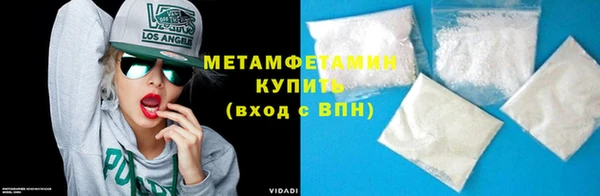 прущие грибы Медногорск