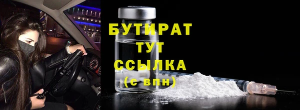 прущие грибы Медногорск