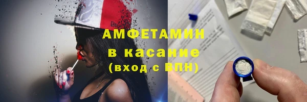 твердый Мегион