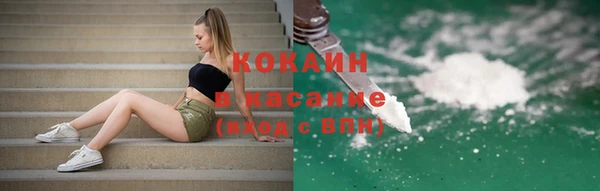 твердый Мегион