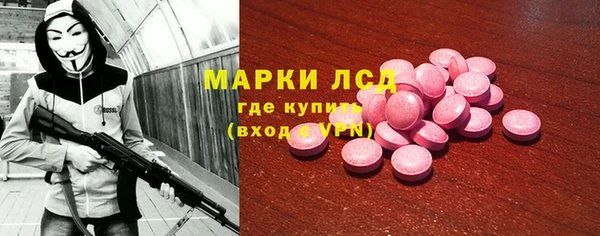 прущие грибы Медногорск