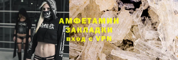 прущие грибы Медногорск