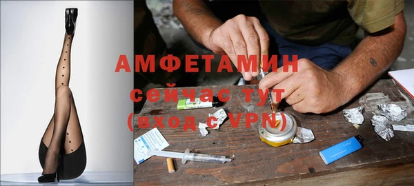 твердый Мегион