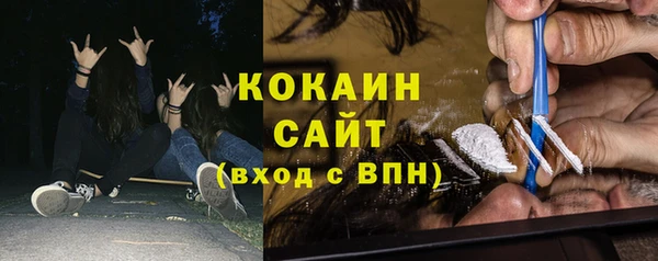 шишки Ачинск
