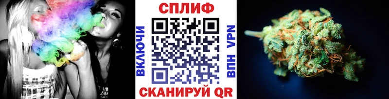 Бошки марихуана Amnesia Фатеж